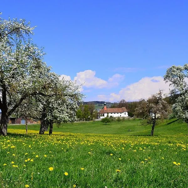 Frühlingsferien Sprachkurs in Basel